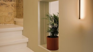 A staircase with a potted plant on a landing. - Casa Norte (Birgu)