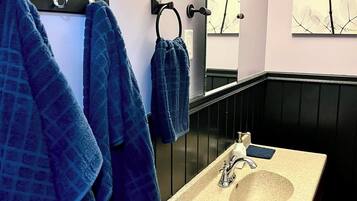 Shower, towels, toilet paper