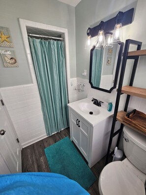 Shower, hair dryer, soap, toilet paper