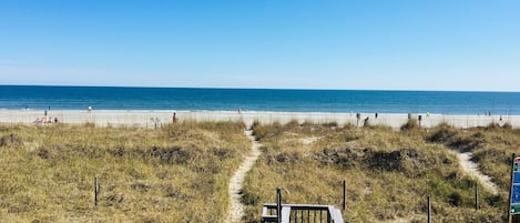 Accommodatie ligt op het strand
