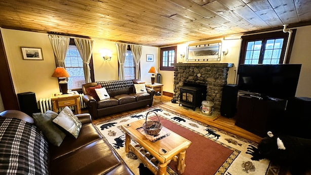 Una sala de estar acogedora con chimenea, un sofá, un televisor y una alfombra estampada.
