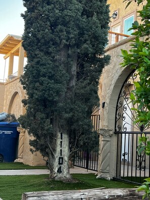 Exterior detail - Updated home strategically close to everywhere you want in El Paso and Cd Juárez (El Paso)