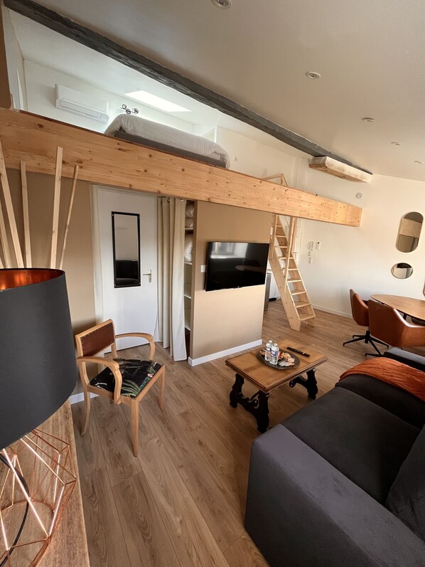 TV - Appartement en Mezzanine (A5 (Angoulême)