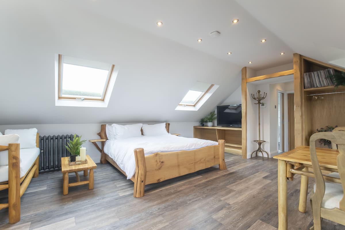 A modern bedroom with a wooden bed, a wooden chair, a small table, and a TV. There are skylights and a radiator.