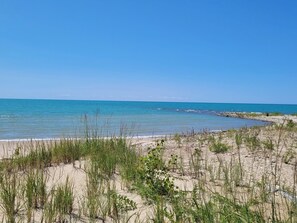 A beach with clear blue water, sandy shore, and sparse vegetation.