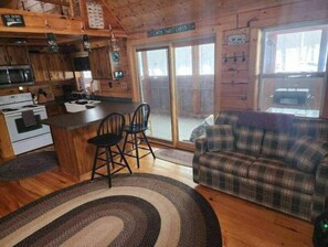 TV connectée, cheminée, lecteur de DVD, chaîne hi-fi