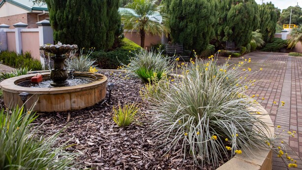 A landscaped garden with a fountain, various shrubs, and a paved walkway. - Lovely Studio Apartment in Downtown Albany (Albany)