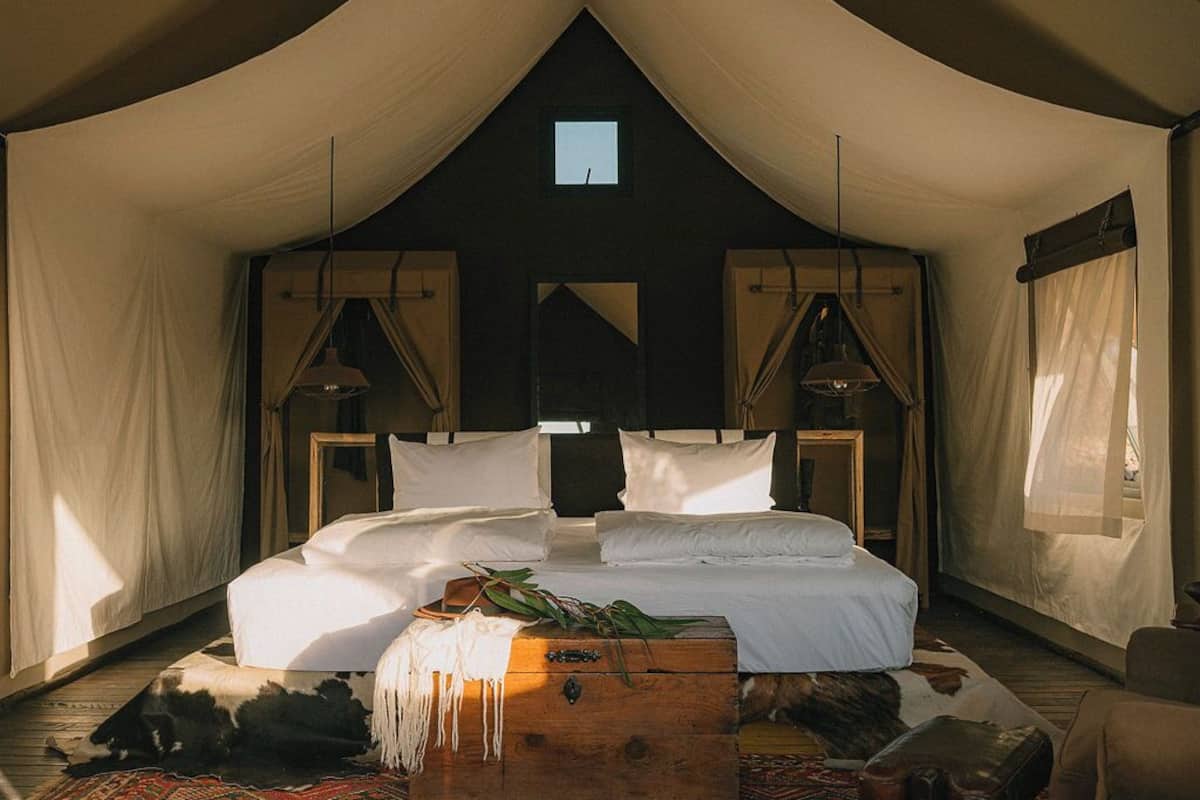 CARPA | Hypo-allergenic bedding, in-room safe, individually decorated