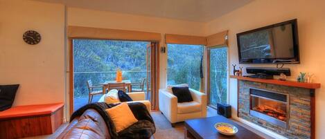 TV connectée, cheminée, lecteur de DVD, livres