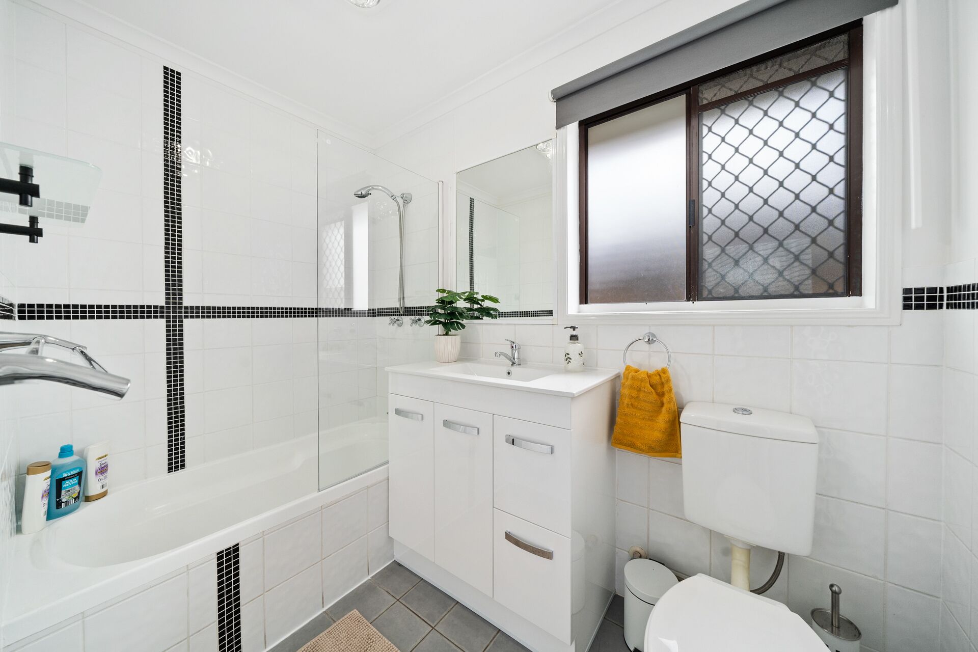 Hair dryer, towels, soap, shampoo