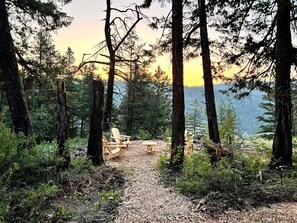 Ein bewaldetes Gebiet mit einem Feldweg, der zu einer hölzernen Bank und einem Picknicktisch führt.