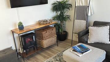 Smart TV, fireplace, books, music library