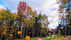Une forêt aux arbres aux couleurs automnales, avec une maison en arrière-plan.