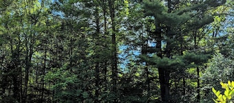 Adventure Awaits at the Alpine Apartment! Explore All Year Round!