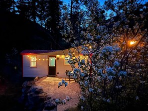 Exterior - Runaway Express Coach (Oliver)