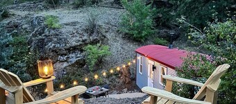 Runaway Express Coach