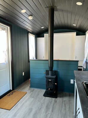 Interior - Runaway Express Coach (Oliver)