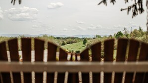 A view through a window with a metal grill, featuring a landscape with hills and trees.