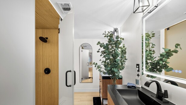 Un baño moderno con puerta de madera, un espejo grande, un lavamanos negro y una planta en maceta.