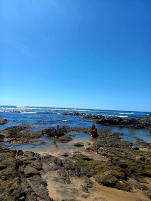 A rocky beach with clear blue water and a clear sky. - Habitación privada casa Laura (Tempate)