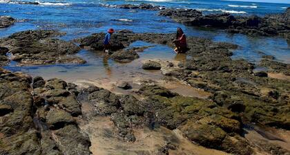 Habitación privada casa Laura