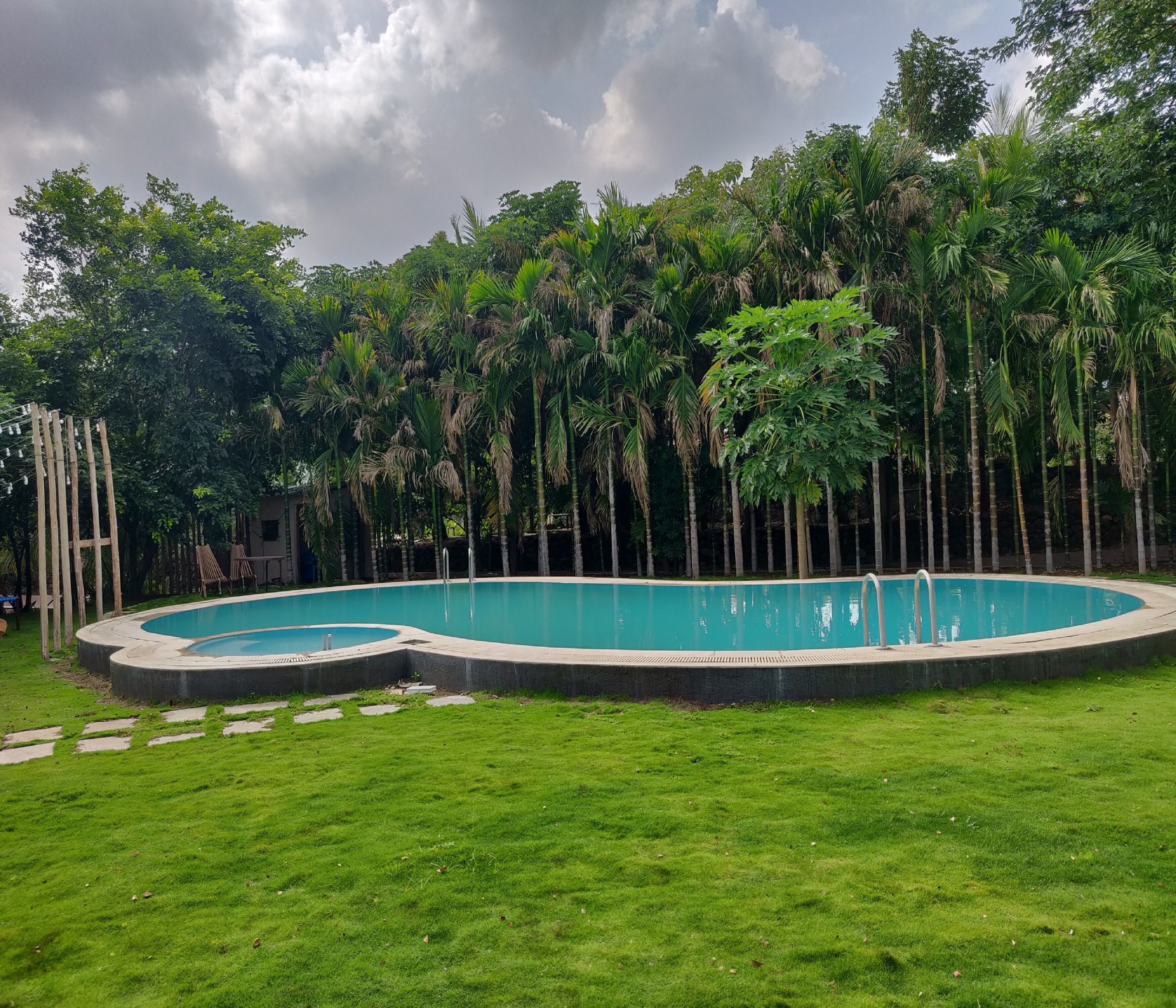 A swimming pool surrounded by lush greenery and tall palm trees.