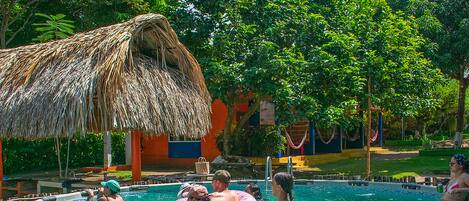 Outdoor pool, pool loungers