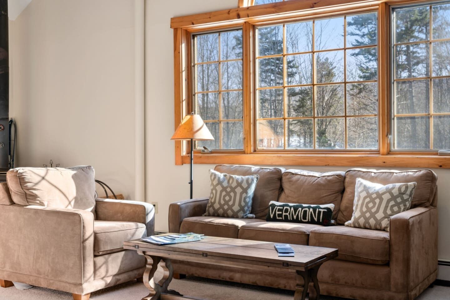 電視、壁爐、書籍