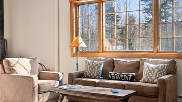 Télévision, cheminée, livres