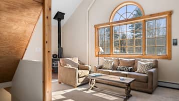 TV, fireplace, books