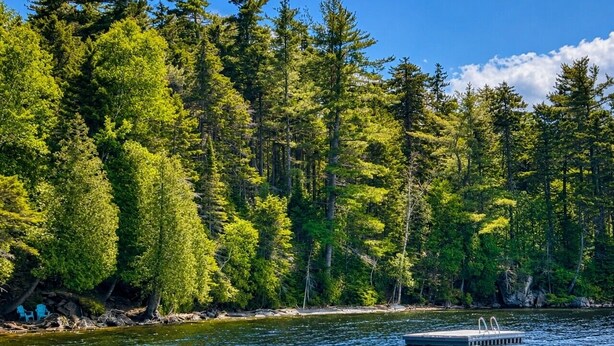 Un lac entouré d’une forêt dense, avec une jetée et des chaises sur la rive.