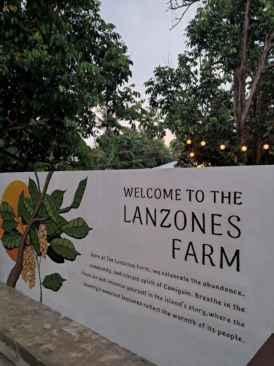 A welcome sign for the Lanzones Farm with a tree illustration and text.