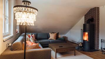 Smart TV, fireplace, books