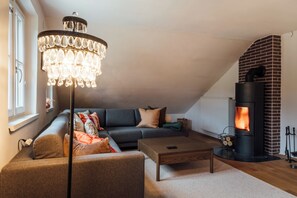 Smart TV, fireplace, books