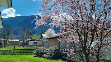 Udendørsområde