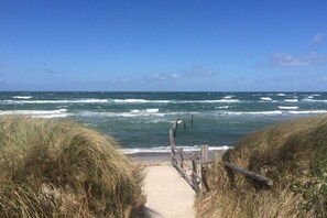 بالقرب من الشاطئ