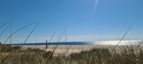 Beach - Tipi des Dunes a 800m de la Plage. Les Animaux de Compagnie Sont les Bienvenues (Surtainville)
