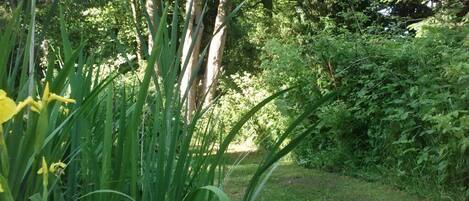 Terrain de lâhĂ©bergement