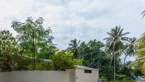 A small, single-story building with a flat roof, surrounded by lush greenery and palm trees. - Surf Trip Maldives (Thulusdhoo Island)