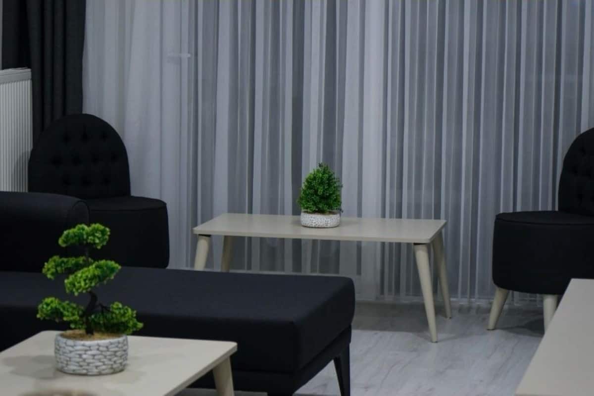 A modern room with a sofa, a small table, and a potted plant.