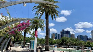 A city park with a swimming pool, palm trees, and a South Bank sign.
