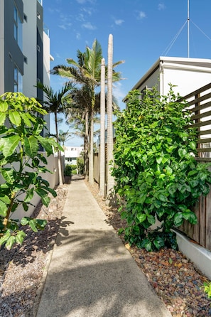 A narrow concrete pathway flanked by lush greenery and a wooden fence, leading to a white building with a balcony.