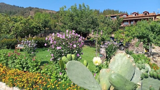 Een tuin met cactussen, bloemen en een rustiek gebouw.