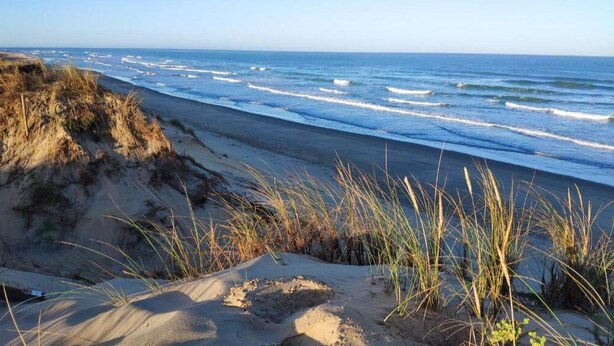 Ein Strand mit Dünen und Gras.