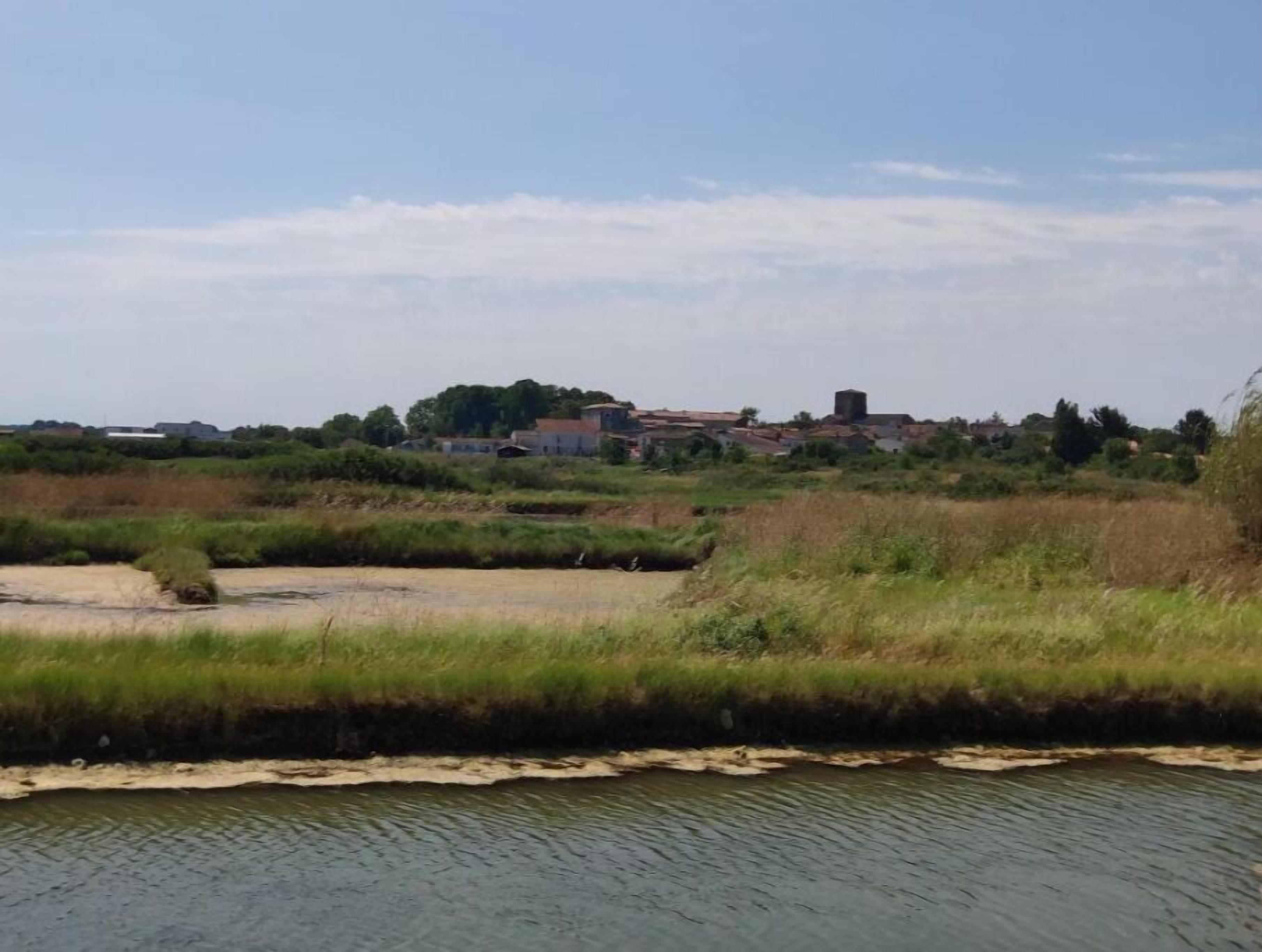 Un río con una orilla arenosa y zonas cubiertas de hierba. En el fondo, se ven edificios y árboles.