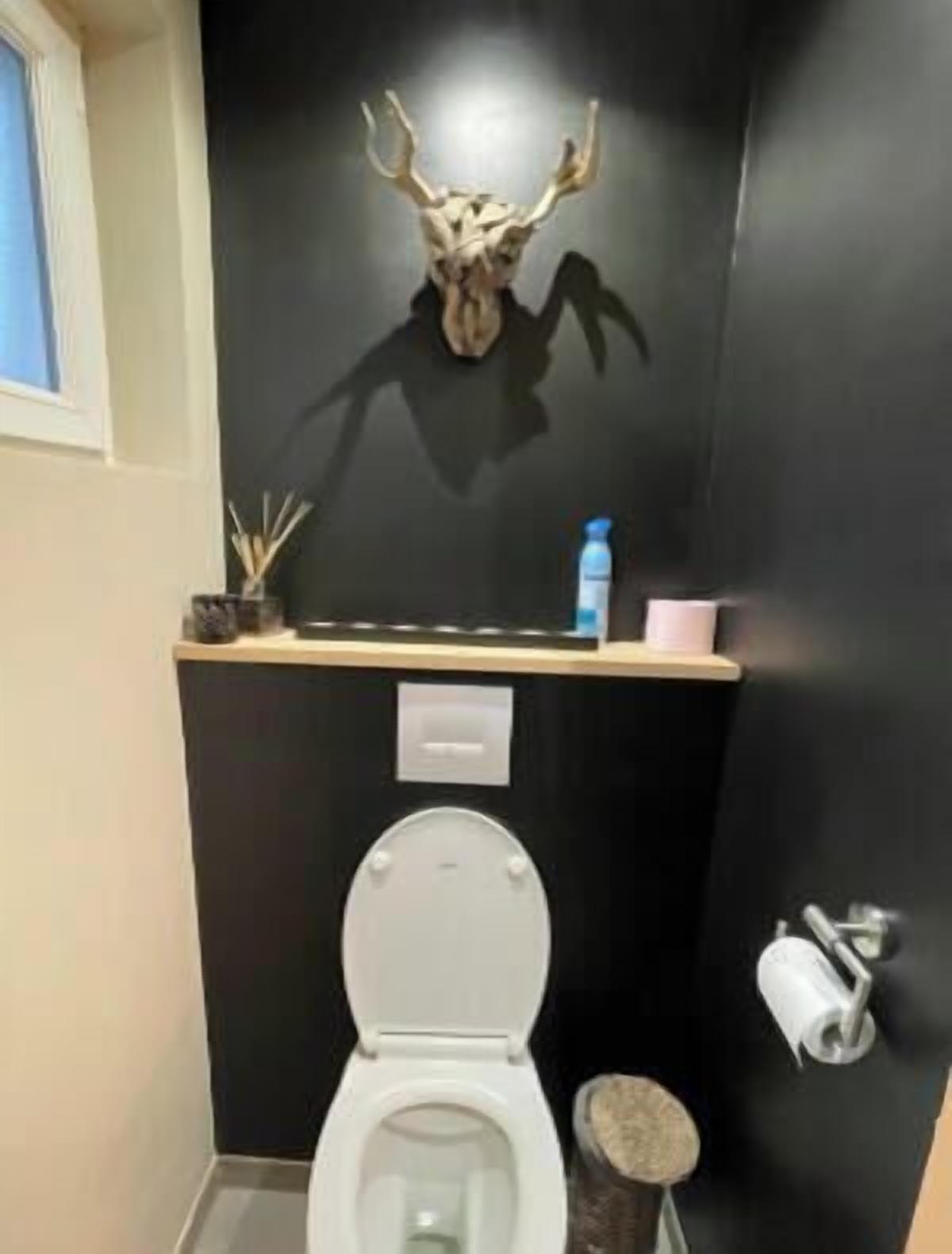 Serviettes fournies, savon, papier toilette