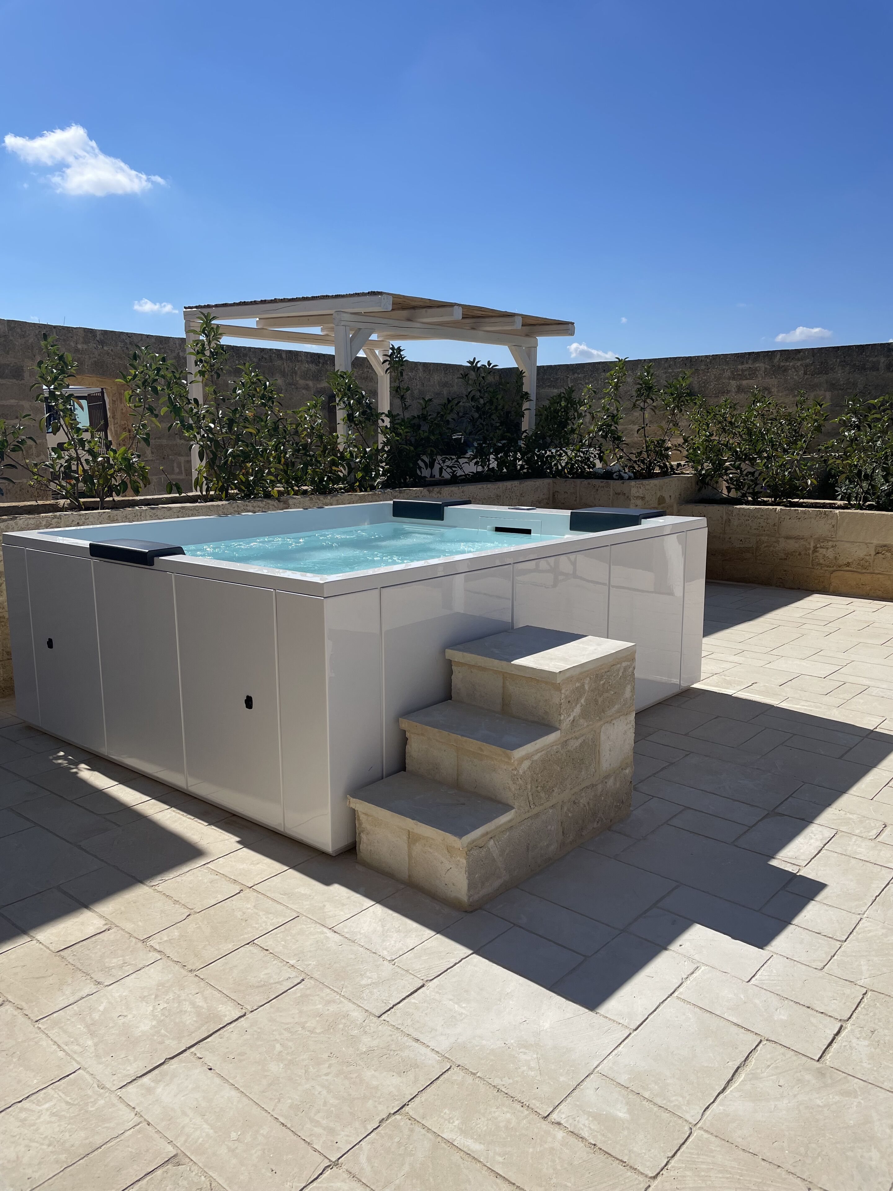 Un bain à remous rectangulaire, accessible par des marches, entouré d’un mur de pierres et de verdure.