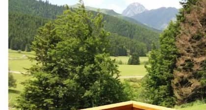 Appartement sur le Lac de Payolle avec vue sur le pic du midi .