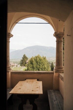 Terrace/patio - Ansitz Zinnenberg (Appiano Sulla Strada del Vino)