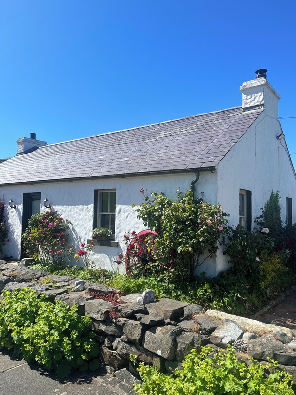 A white house with a grey tiled roof, a chimney, and a garden with rocks and plants. - Cottage in Ballintoy, Causeway Coast - sleeps 5 (Ballintoy)